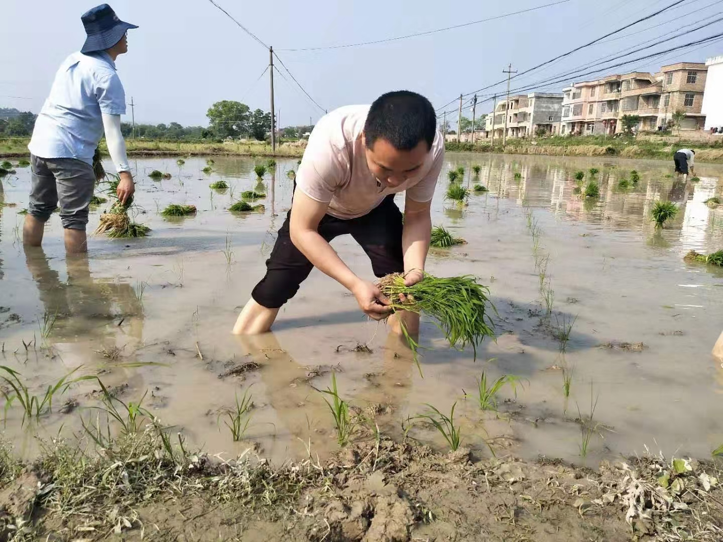 助农春耕解生忧，真情帮扶守初心——江西赣州技师学院第四党支部开展主题党日活动