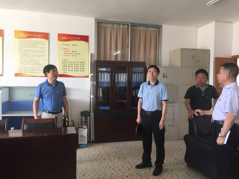 市委教育工委领导来我院进行党建工作专项调研督查