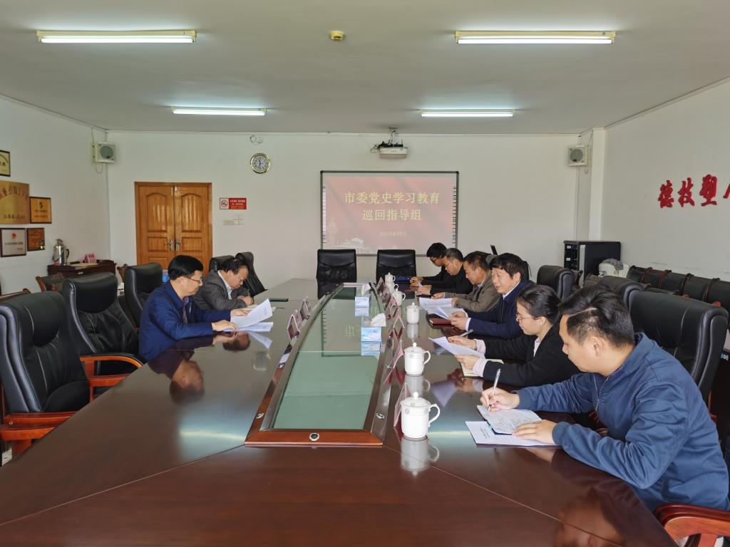 市委党史学习教育第九巡回指导组到我院检查指导党史学习教育工作