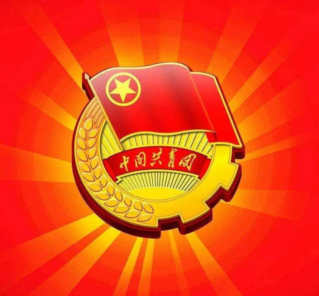 我院团委参加深化全省高校共青团改革工作培训会