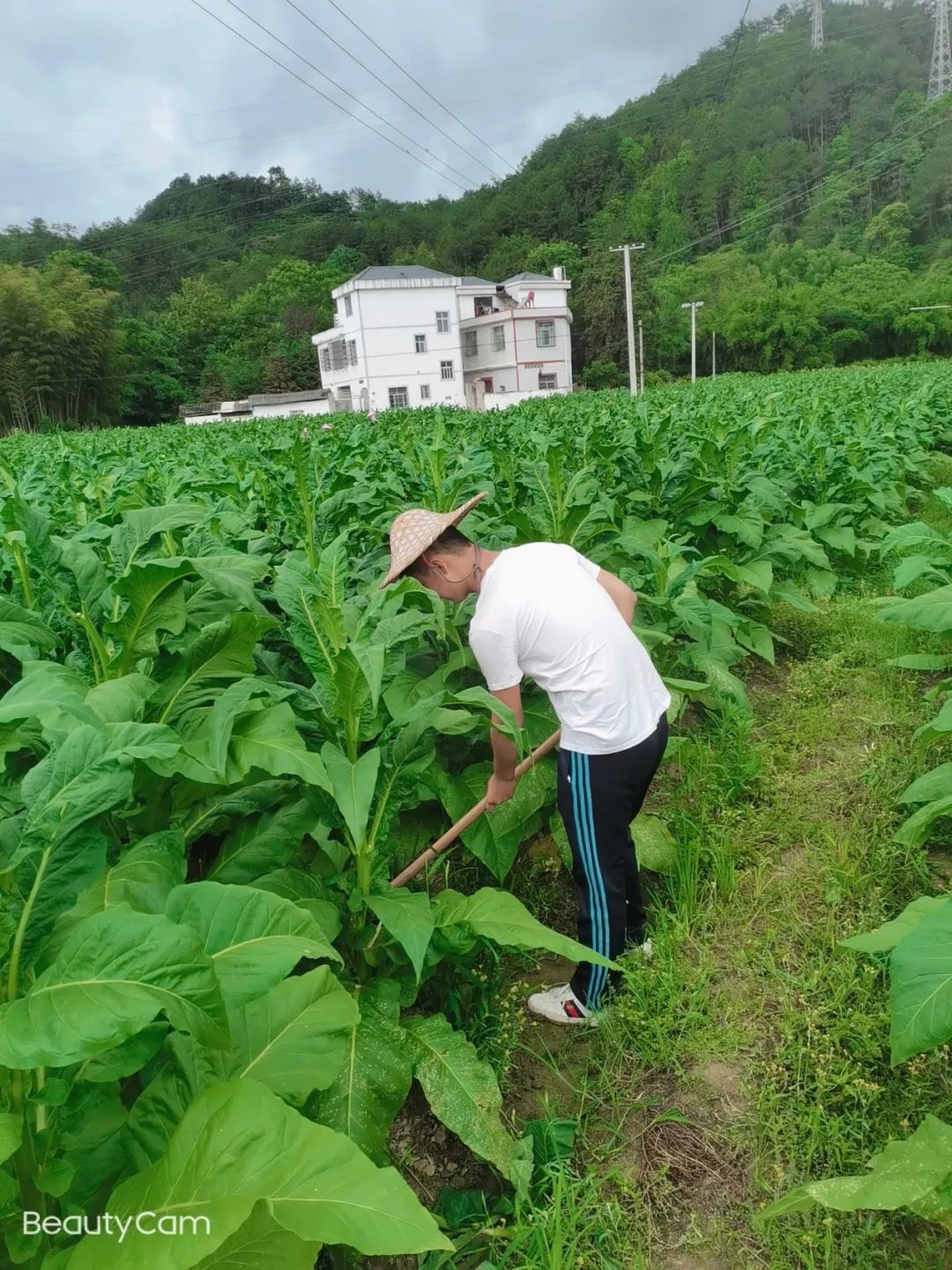 我为师生群众办实事——赣州技师学院第四党支部学生党员深入田间干农活